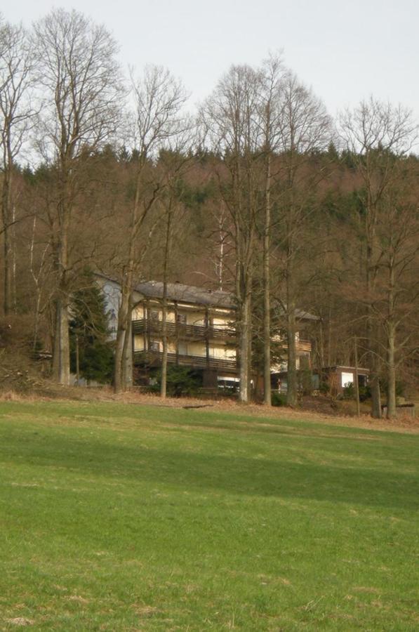 Ferienhaus Napoleon Waldmuenchen Exterior photo